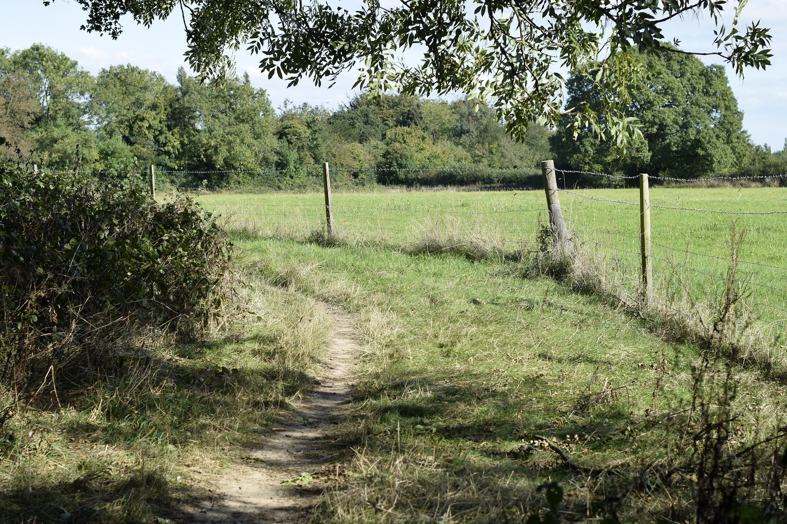 Photos Amersham Circular via Chalfont St Giles Walk SWC