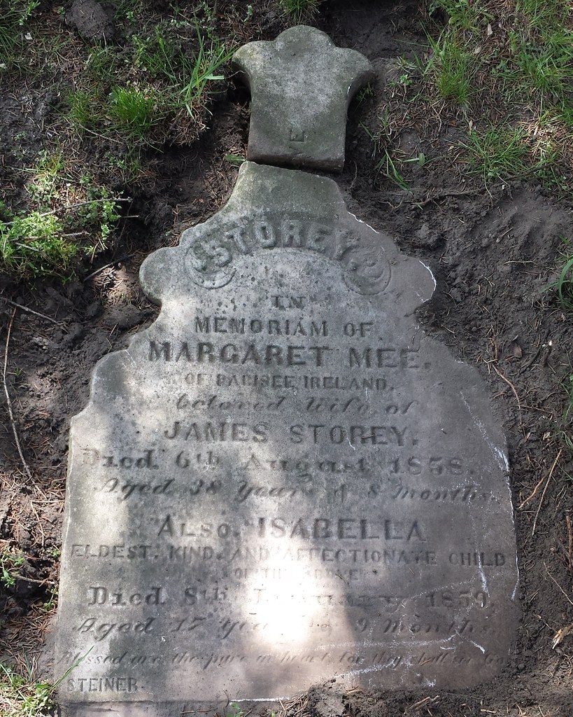 IMG_20160521_205613 Shannon Stafford Flickr