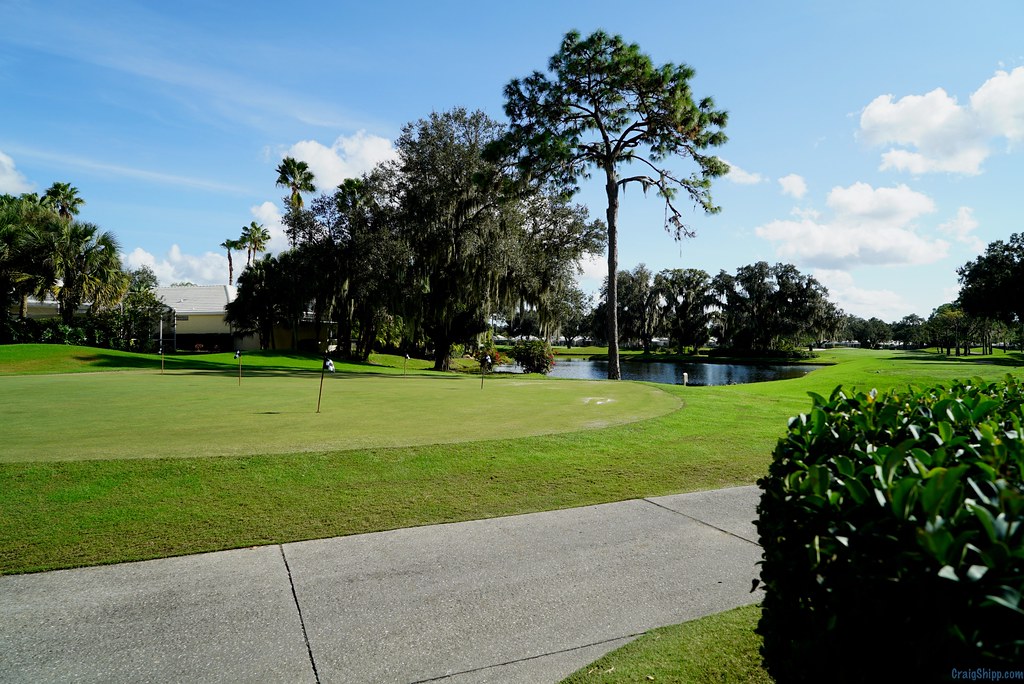 DSC01750 Rosedale at Sarasota, Florida For video see ww… Flickr