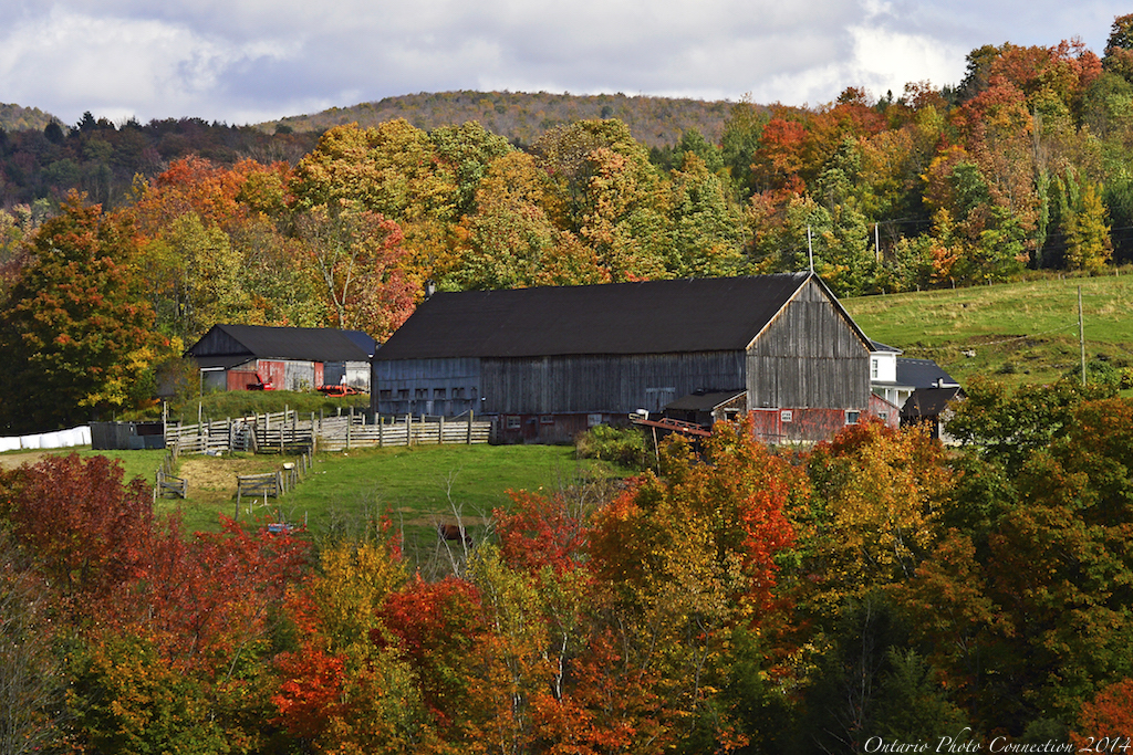 0607 Abercorn Quebec ontario photo connection Flickr