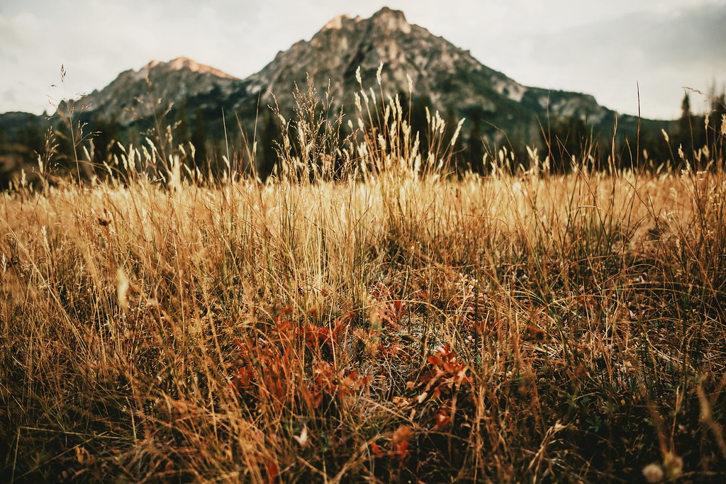 Elevation of Grandjean Campground, Boise National Forest, Forest Rd