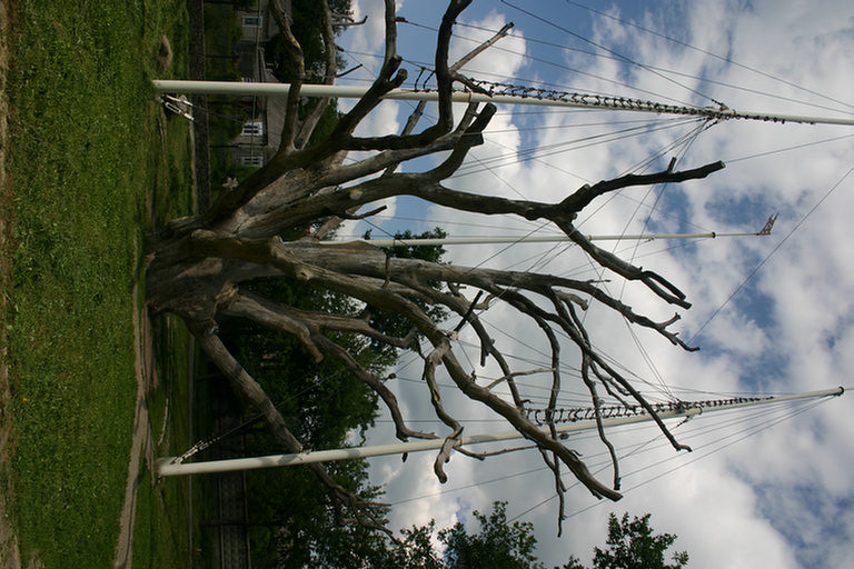 Sale Barn, Belleville (Originals) Flickr