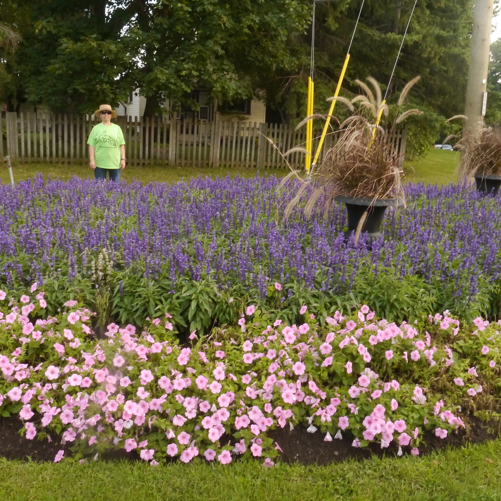 A walk around midtown Barrie, Ontario The City of Barrie d… Flickr