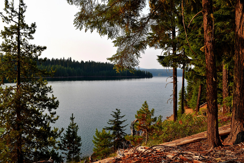 Trail along Clear Lake south of Mt. Hood jonathan grech Flickr