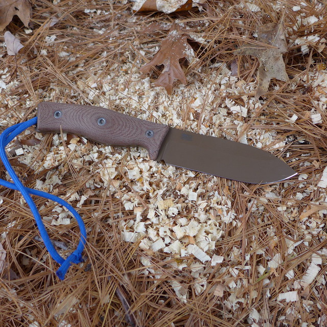 Next Gen Steels to Watch