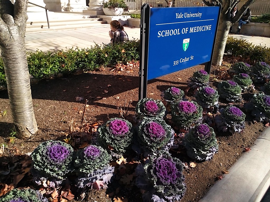 Edible plant bed in front of the university Kristina D.C. Hoeppner
