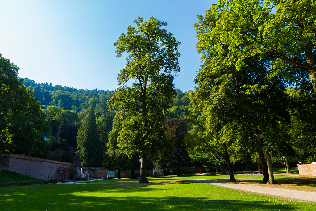 Garden of the Heidelberg Castle tjmic_92 Flickr