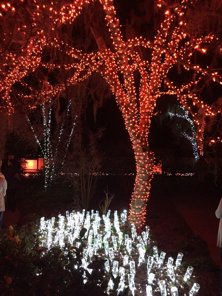 Brookgreen Gardens Night of 1,000 Candles chrisschieman.co… Chris