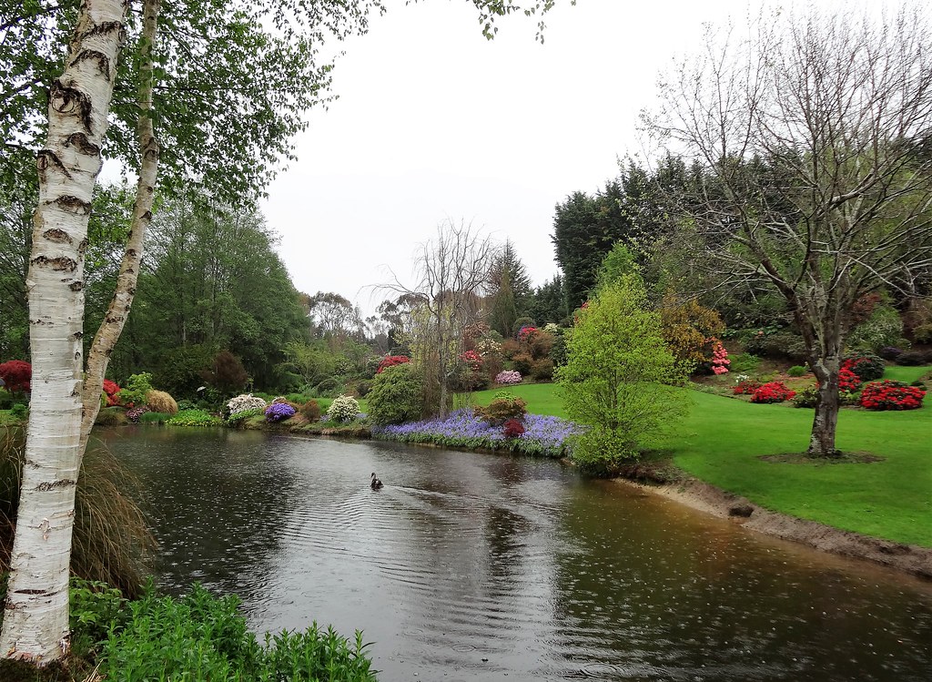 Gore. Wyndham. Maple Glen garden. Duck on pond with beds o… Flickr