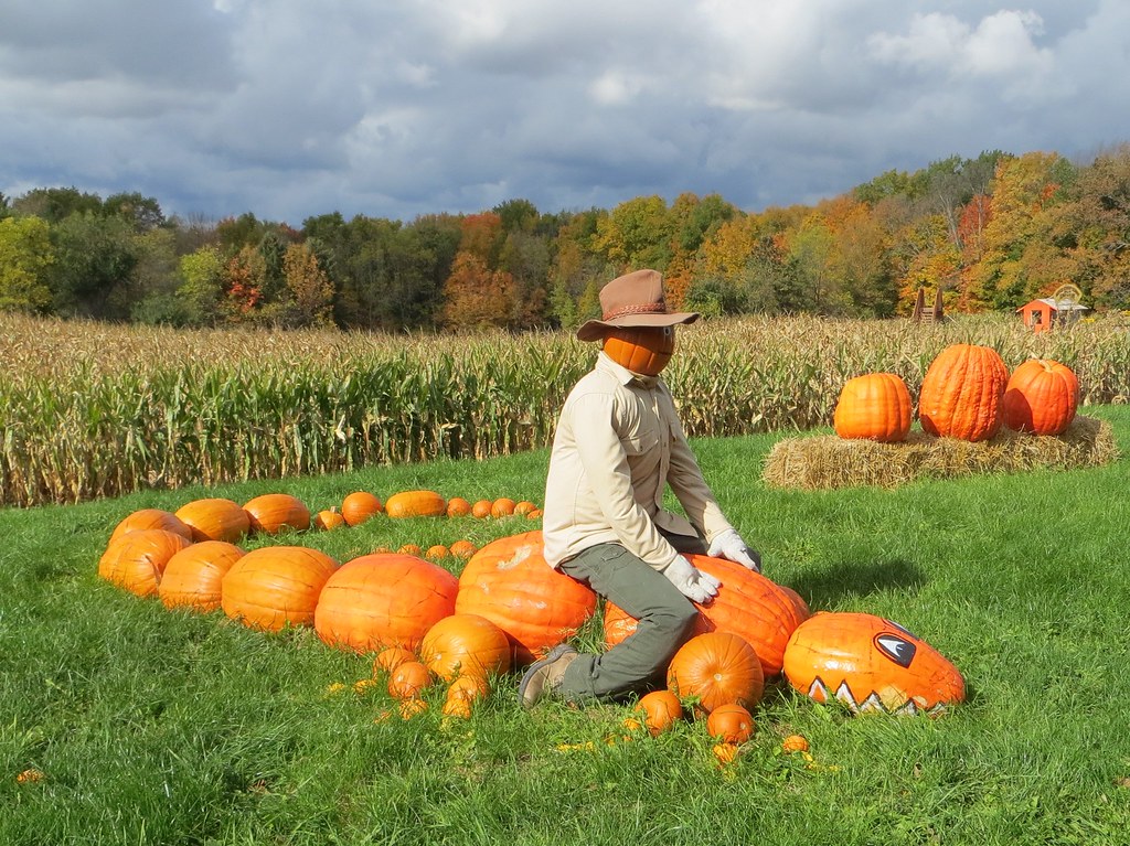 Howell's Pumpkin Farm, Ontario Allan Spurrell Flickr