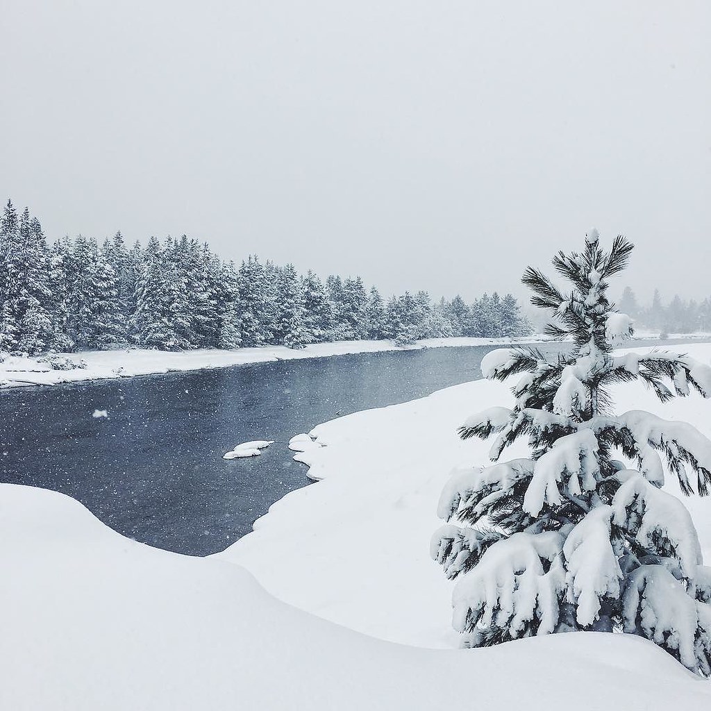 So this is the definition of a winter wonderland. I'm walk