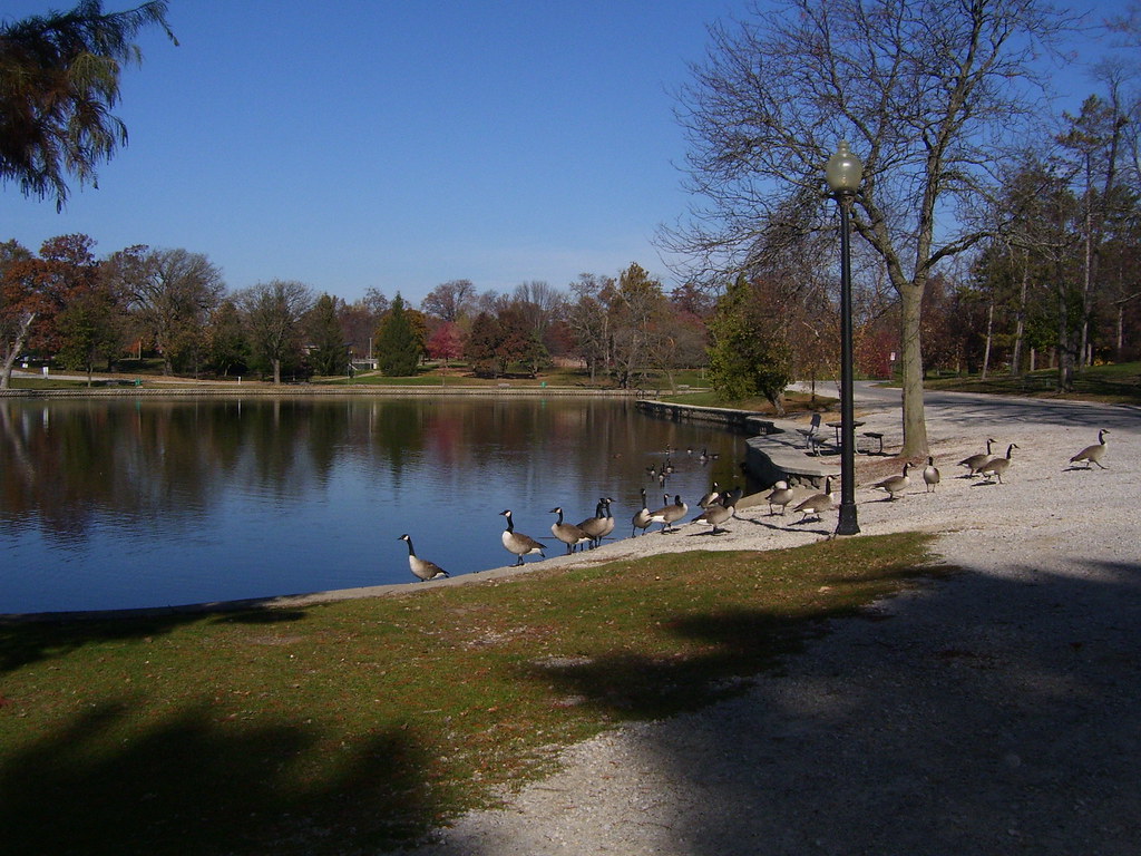 Bloomington IL Miller Park Lagoon Karas Hall Flickr