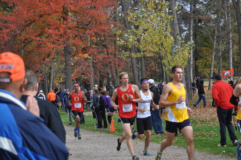 Otterbein Mens Cross Country OAC Championship 2015 Flickr