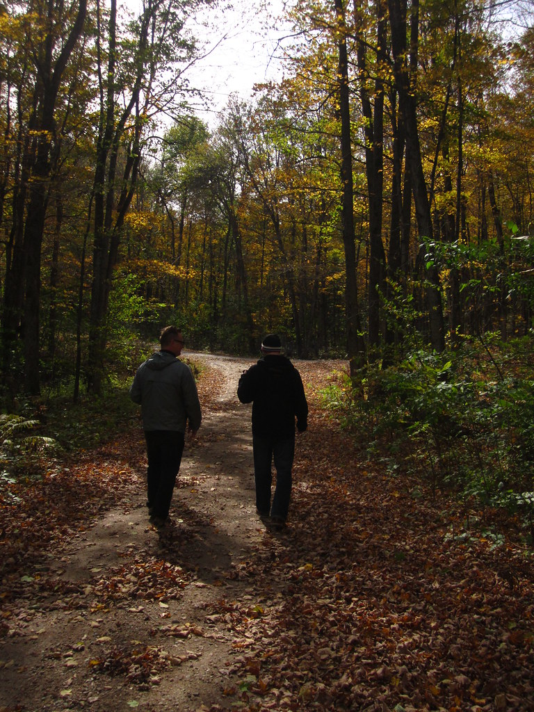 Matt and Miya's Cottage Coe Hill October 2015 002 JM & Miho Flickr