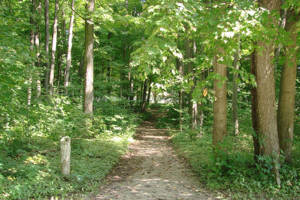 Trail to Dam Trail to Dam Soham Shah Flickr