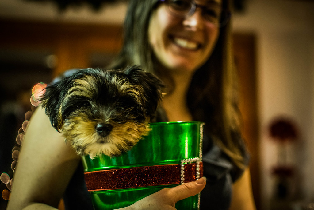 Sally's House December 24, 2015 130.jpg Jared Lambert Flickr