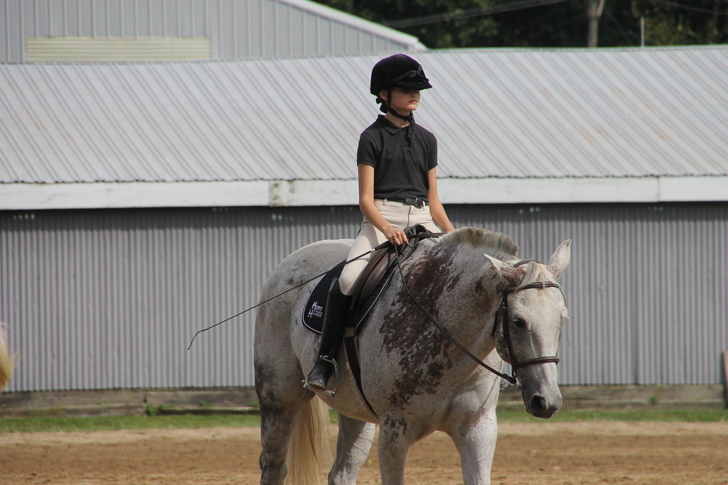 Dressage at Woodbine Schooling Show (September 20, 2015 … Flickr