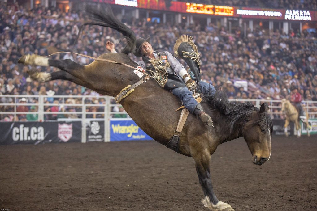 Canadian Finals Rodeo Edmonton IQRemix Flickr