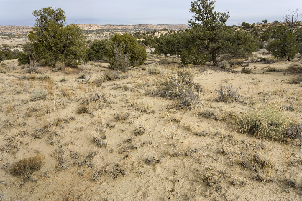 Cañon Largo Southwest side of Cañon Largo, across from Med… Flickr