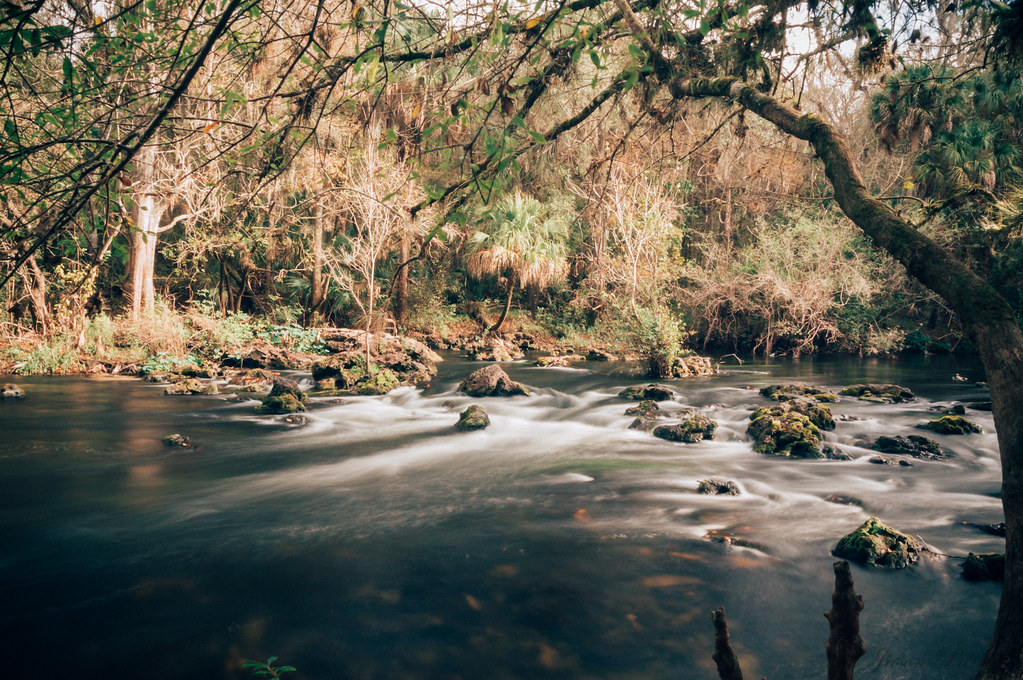 Elevation of Terrace Park, Wesley Chapel, FL, USA Topographic Map