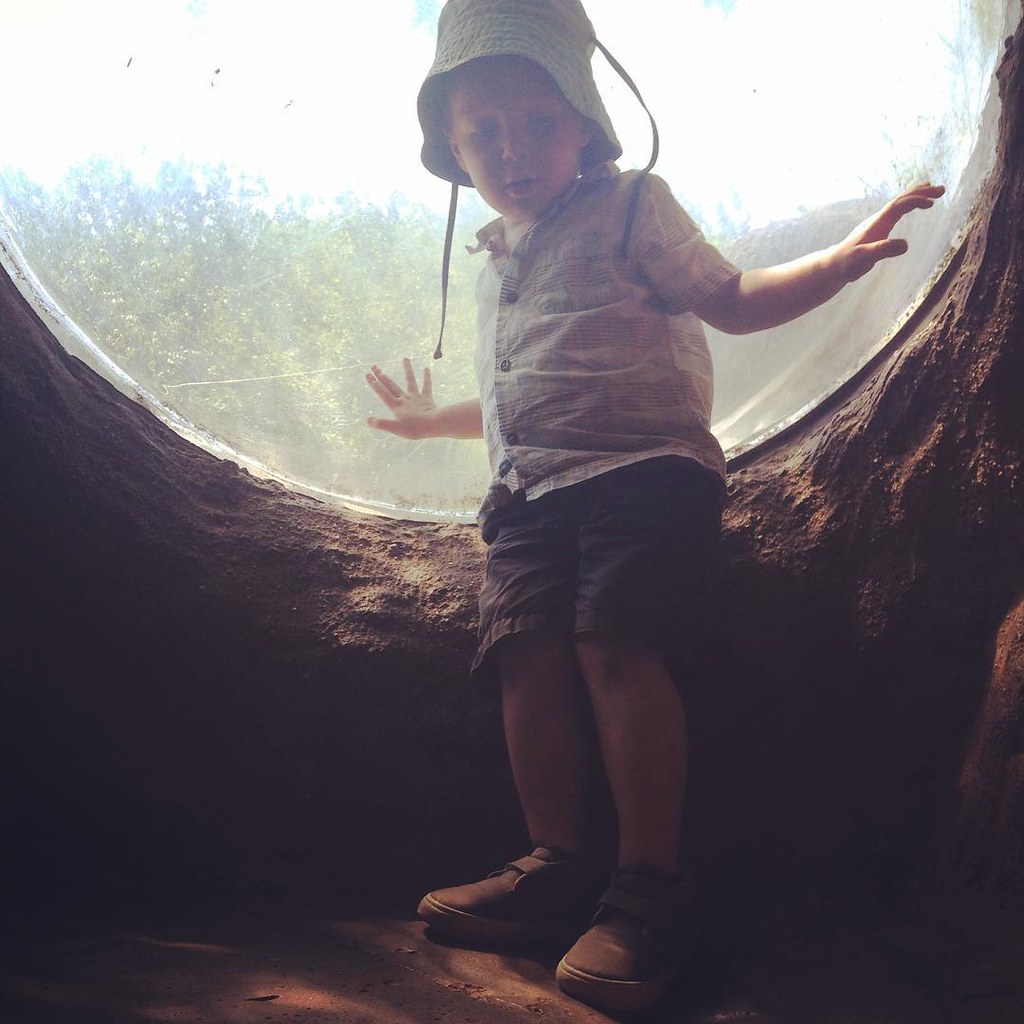 Milo in the prarie dog tunnel Ethan Hein Flickr