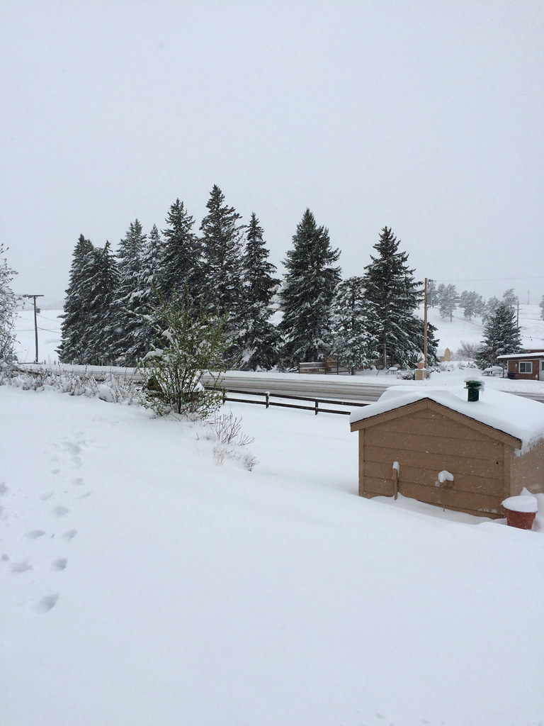 Footprints in the Snow Hill City, SD tinyfroglet Flickr