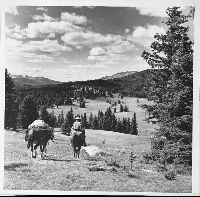 Man Leading Packhorse in Horseshoe BasinOkanogan Wenatche… Flickr