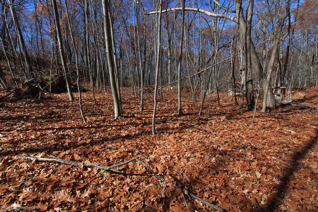 Mount Hope Historical Park Known locally as the Richard Mi… Flickr