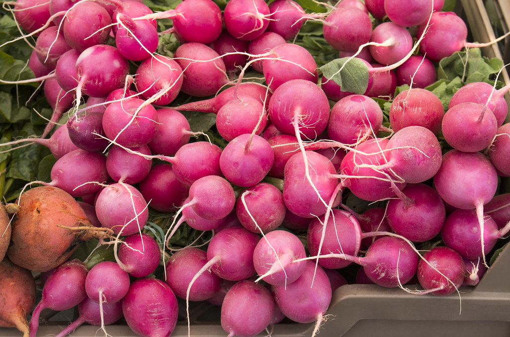 radishes and a few beets a photo on Flickriver