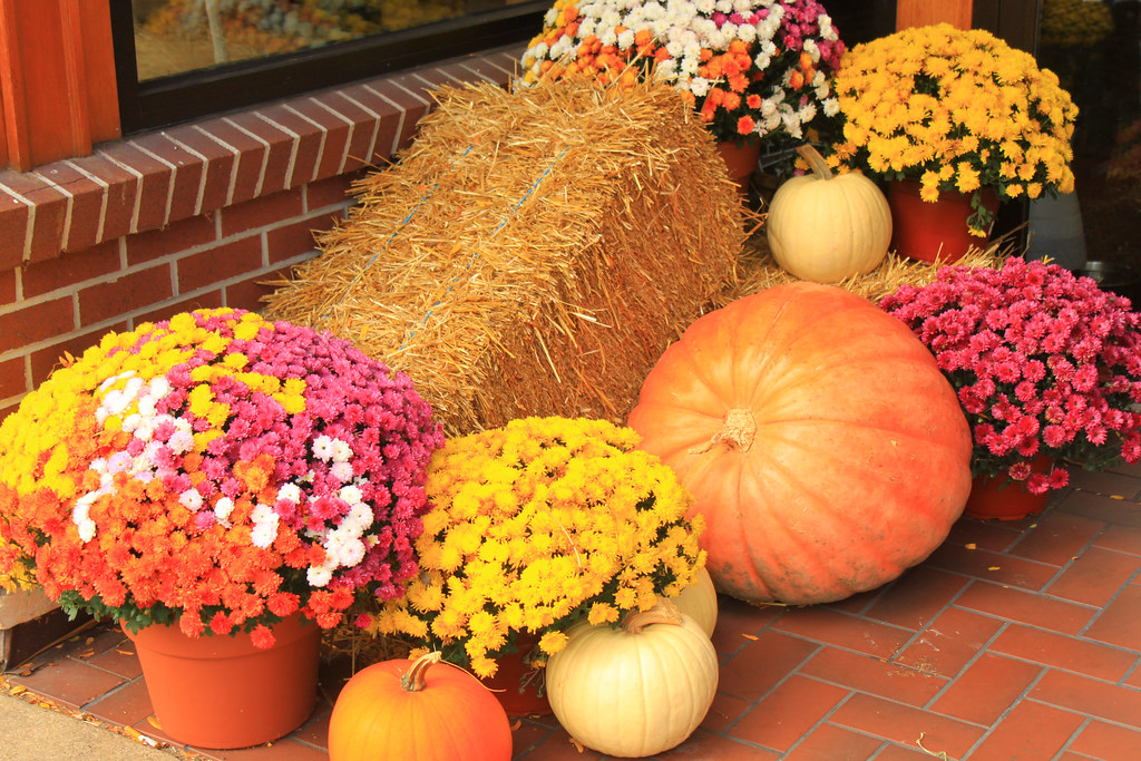 Fall colors Downtown St. Joseph, Michigan gabe popa Flickr