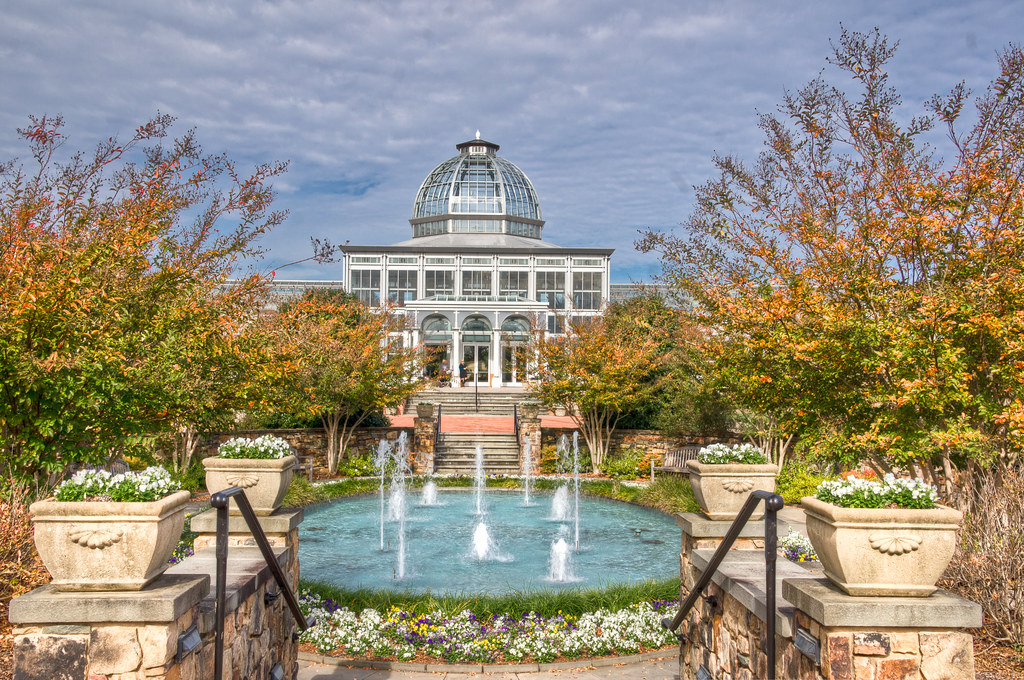 lewis ginter9 Dave Pope Flickr