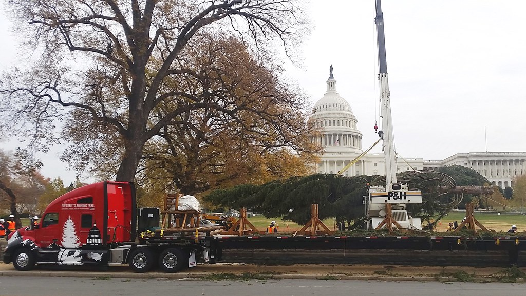 Kenworth Unloading U.S. Capitol Christmas Tree DC 3 Flickr