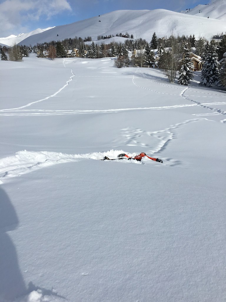 Too much snow Bowen Blair Flickr