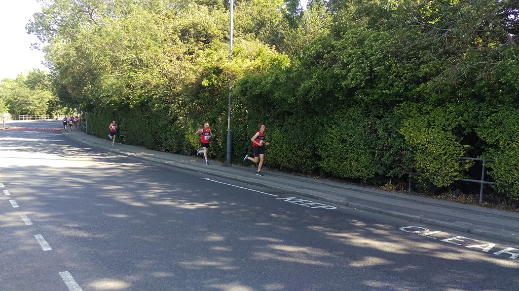 IMAG2352 Billingham Marsh House Harriers Flickr