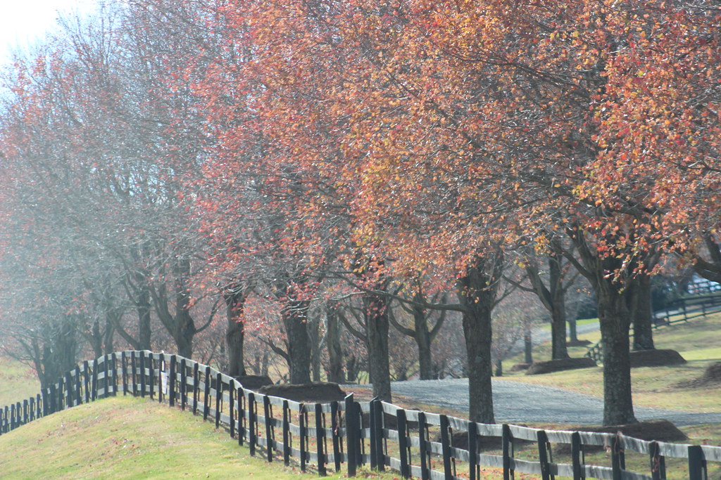 Hillsborough Farm Kellsboro Flickr
