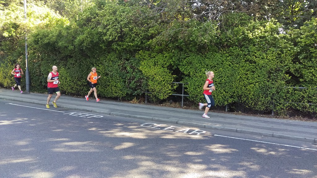 IMAG2382 Billingham Marsh House Harriers Flickr