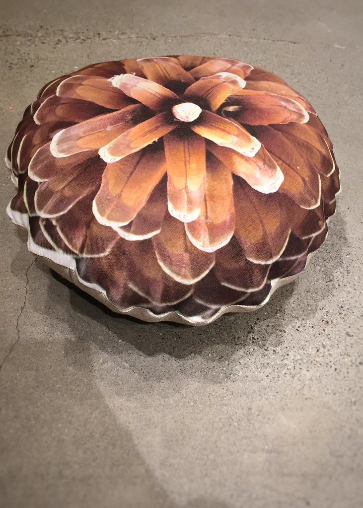 Camp Function Junction Whistler Flickr