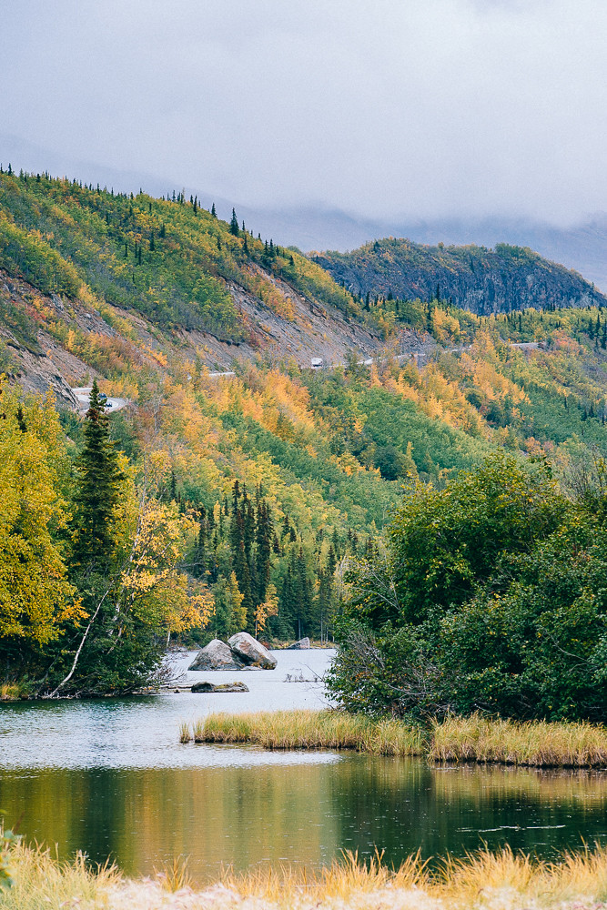 fall colors on a rainy day, glenn highway, alaska tara on the wander