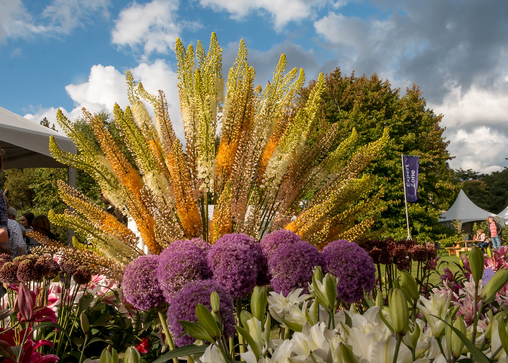 Wisley Flower Show 12/09/15 Myles Chuter Flickr