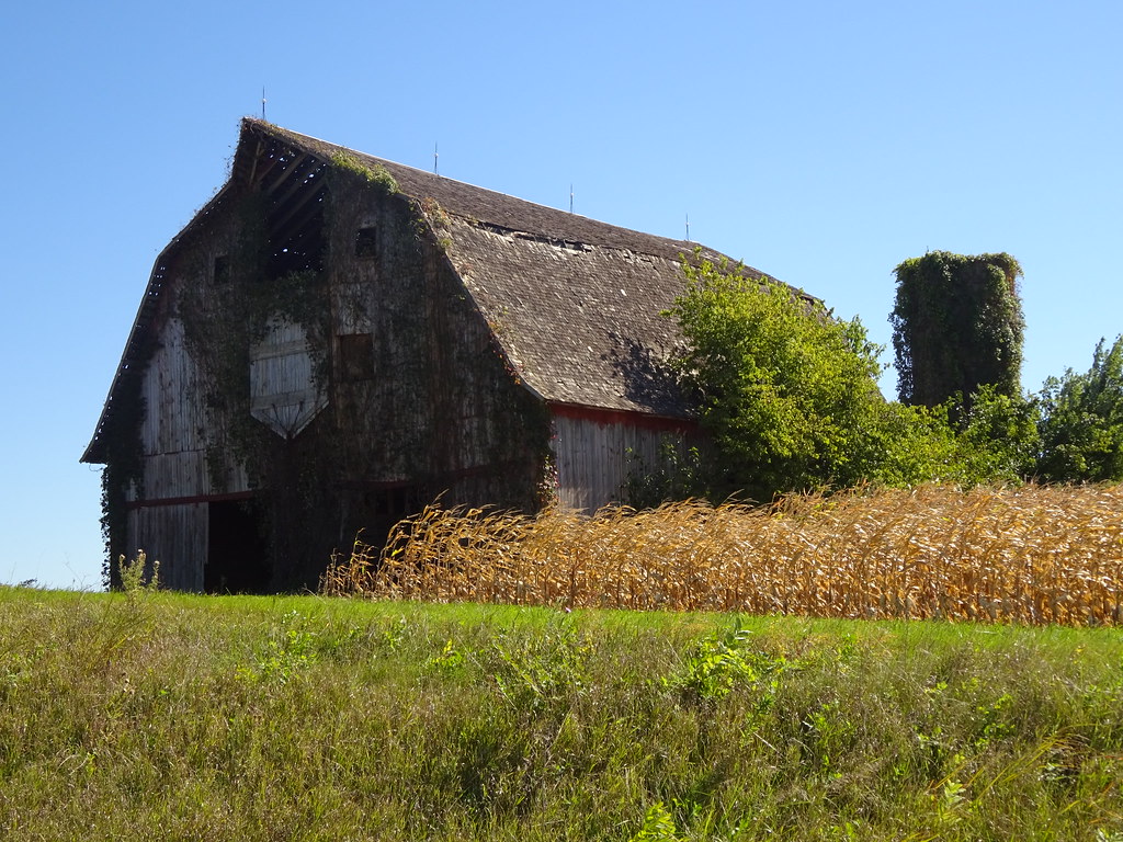 Outside of Kalona, Iowa A barn with real character. Flickr