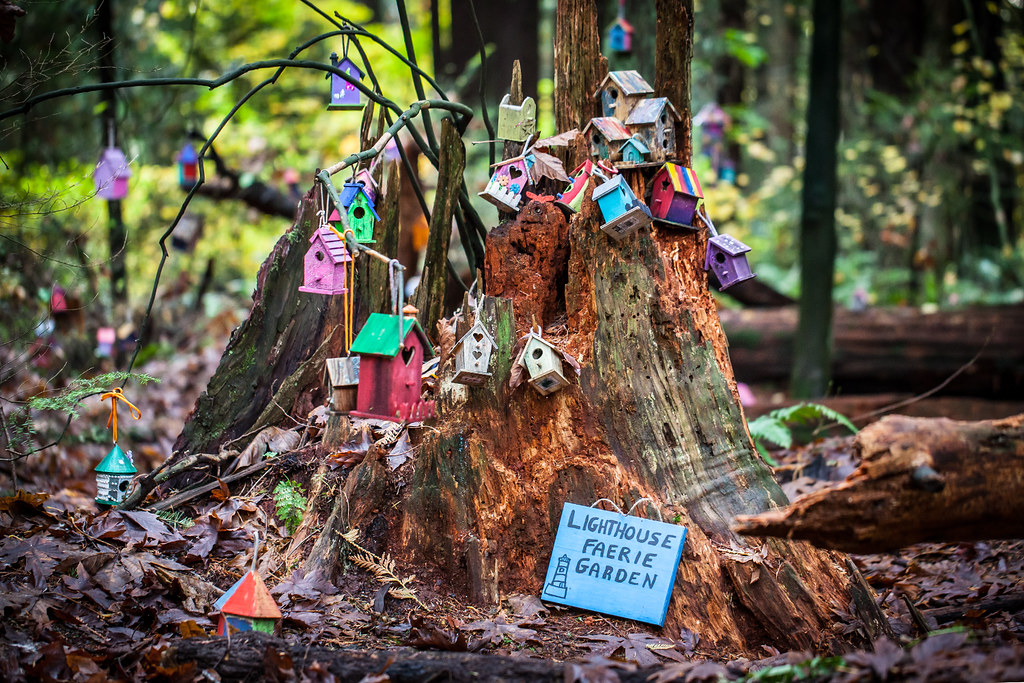The Fairy Forest Where the fairies live . . . Redwood Park… Flickr