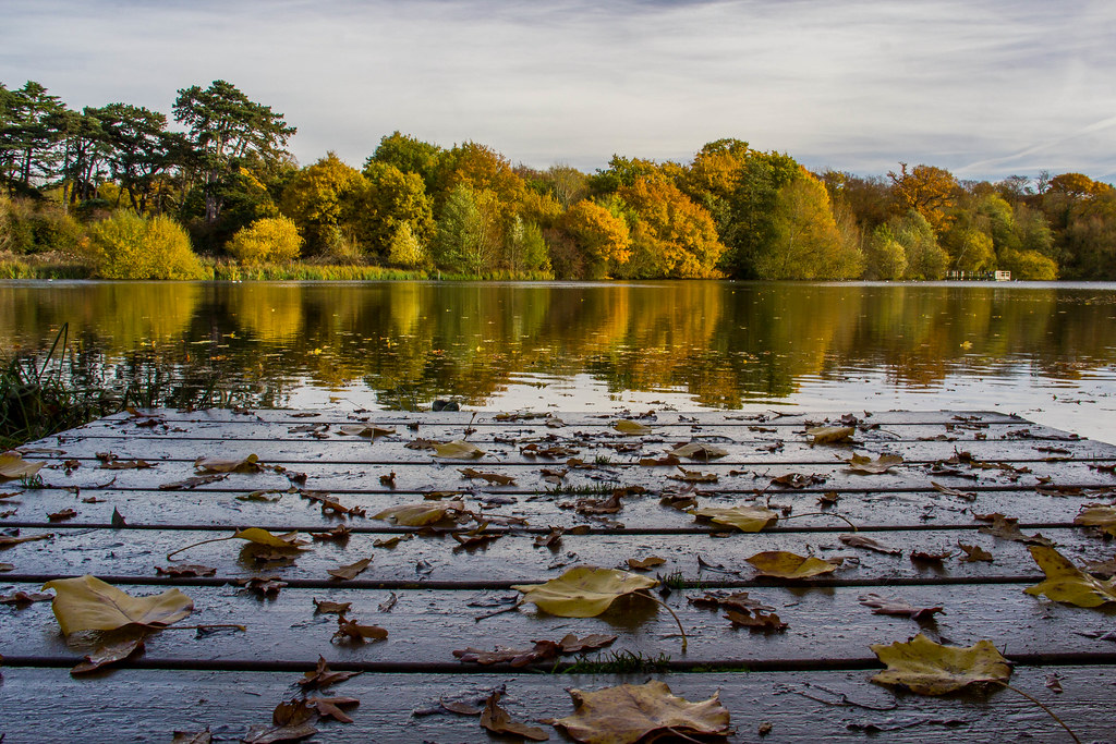 The lake at Hatfield forest David Francis Flickr