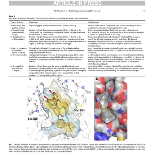 Types of bioassays for testing of small molecule drug cand… Flickr