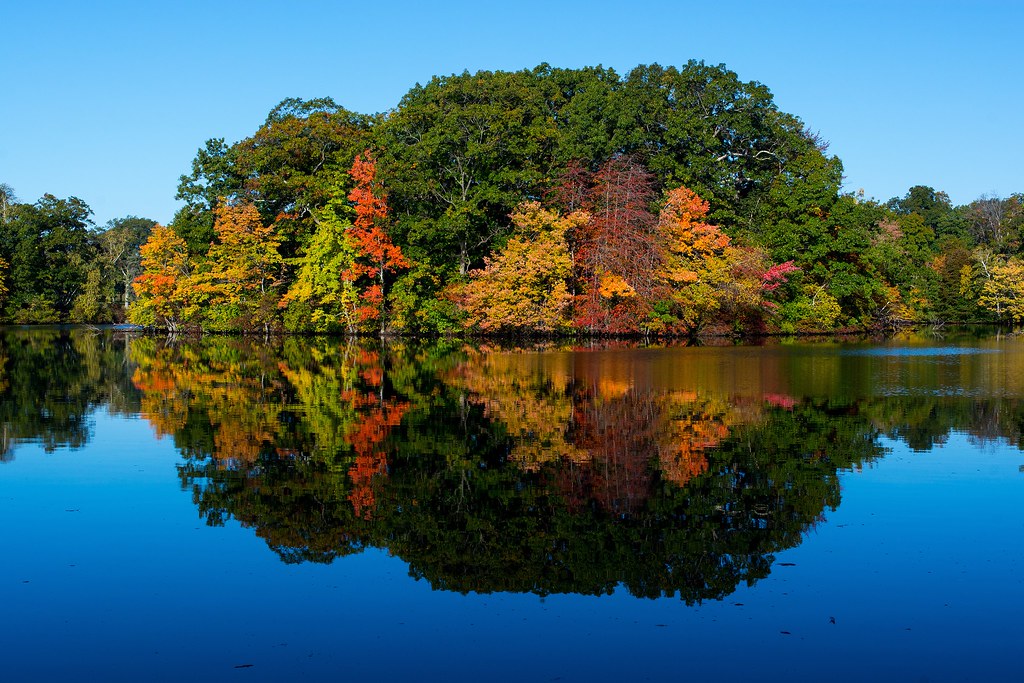 Edgewood Lake Edgewood Lake at sunrise in Providence, Rhod… Flickr