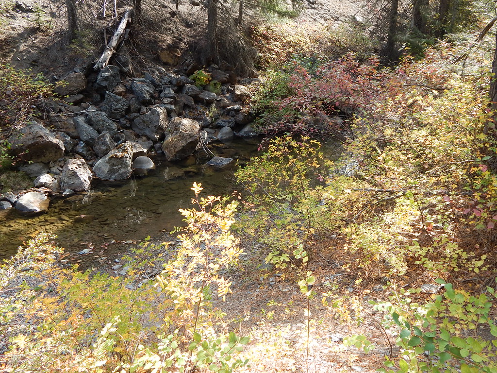 Blewett Pass 104 Don L Flickr