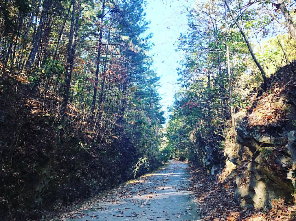 Elevation of 85 Tolbert Rd, Rockmart, GA, USA Topographic Map Altitude Map