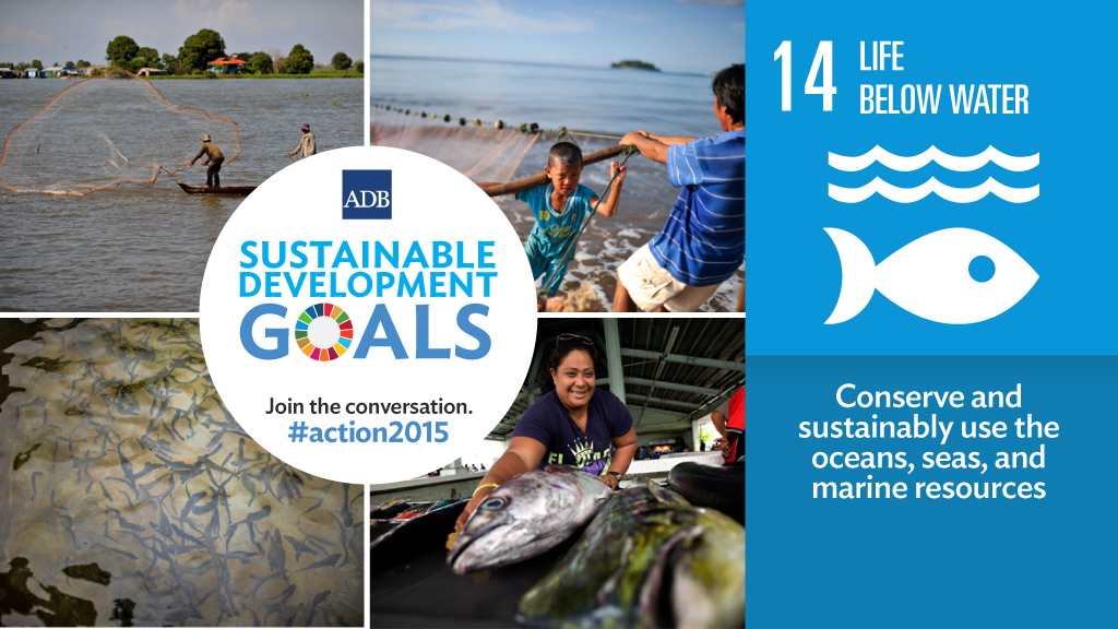 Sustainable Development Goal 14 Life Below Water Flickr