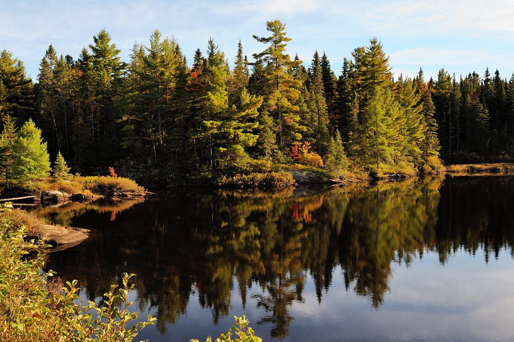 Parc de la Mauricie SaintMathieuduParc, QC, Canada Francis