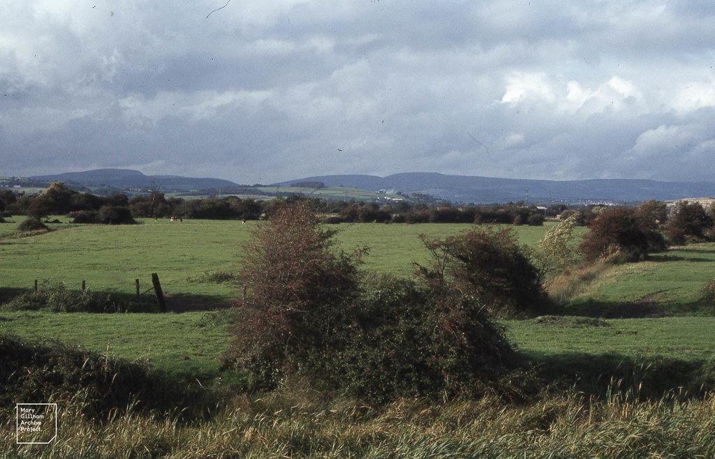 St Brides Wentloog farmland, from sea wall, Twn Barlan and… Flickr