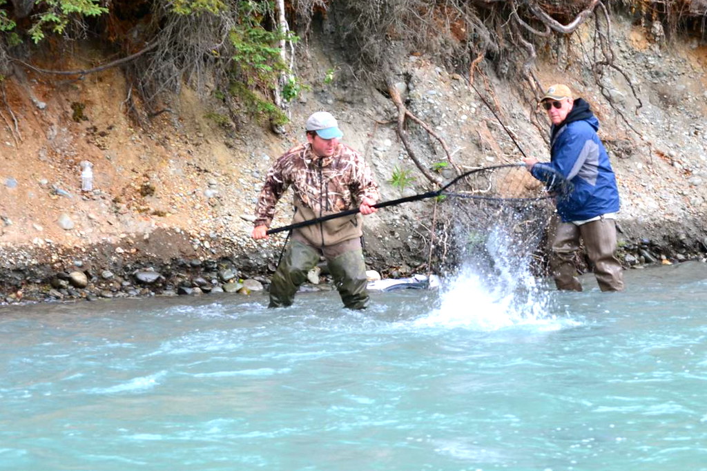 image005 Marlows on the Kenai Flickr